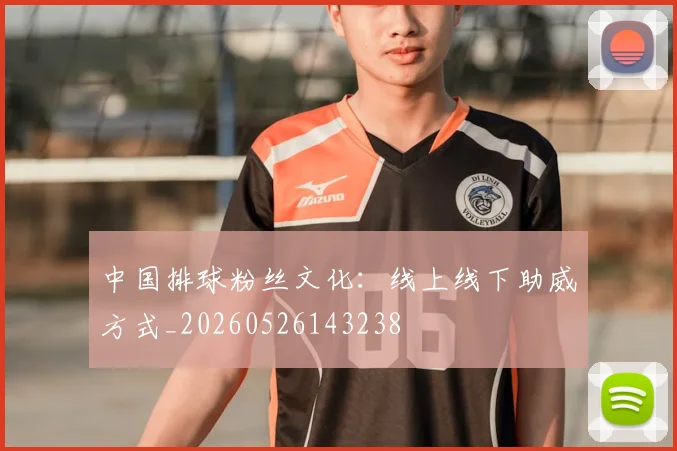 中国排球粉丝文化:线上线下助威方式_20260526143238